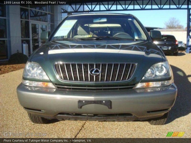 Woodland Pearl / Ivory 1999 Lexus RX 300