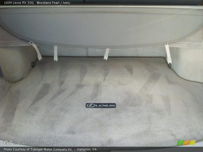 Woodland Pearl / Ivory 1999 Lexus RX 300
