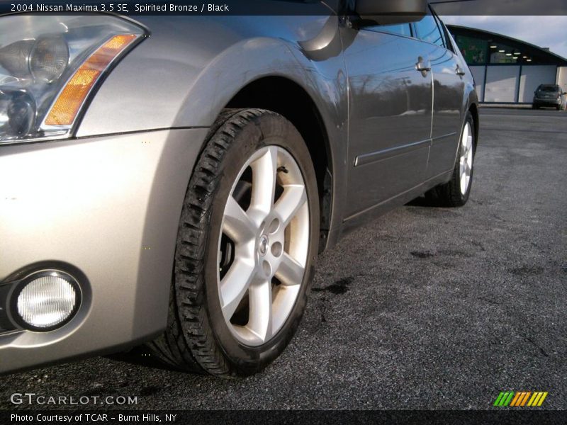 Spirited Bronze / Black 2004 Nissan Maxima 3.5 SE