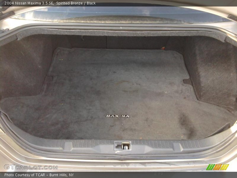 Spirited Bronze / Black 2004 Nissan Maxima 3.5 SE