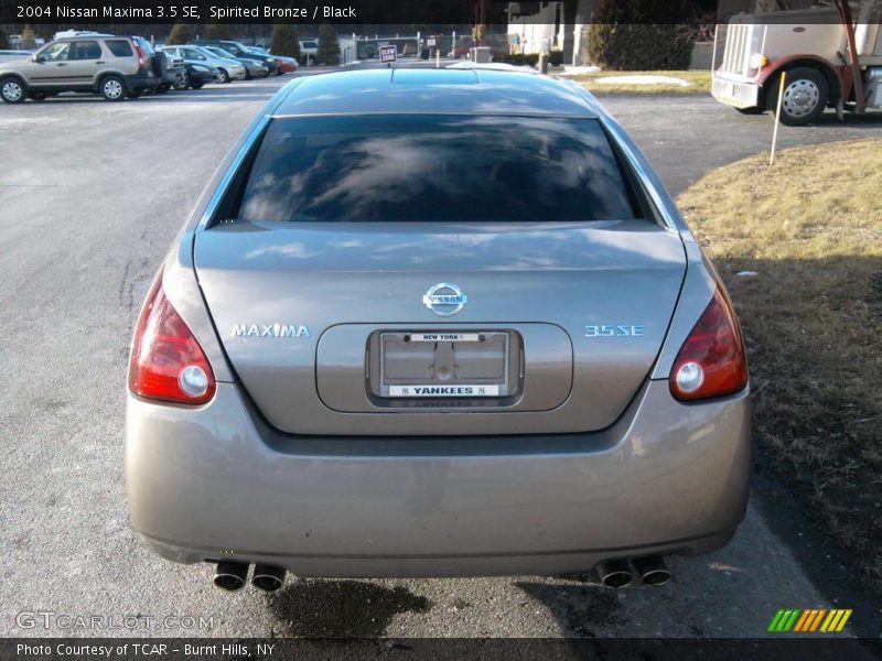 Spirited Bronze / Black 2004 Nissan Maxima 3.5 SE