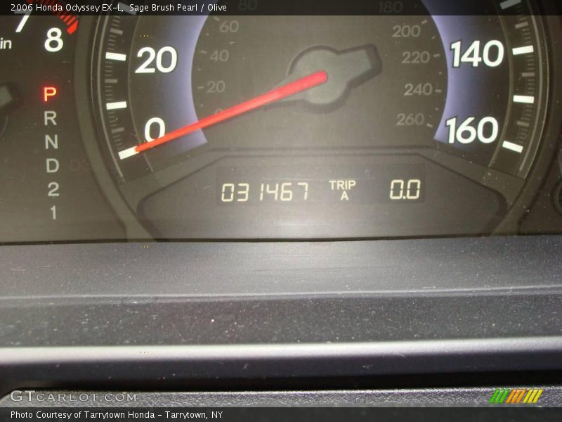 Sage Brush Pearl / Olive 2006 Honda Odyssey EX-L