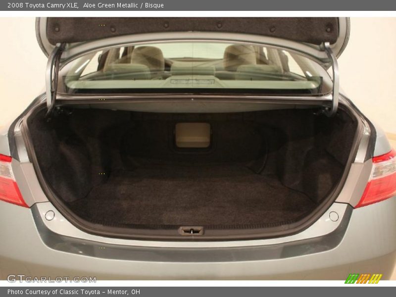 Aloe Green Metallic / Bisque 2008 Toyota Camry XLE