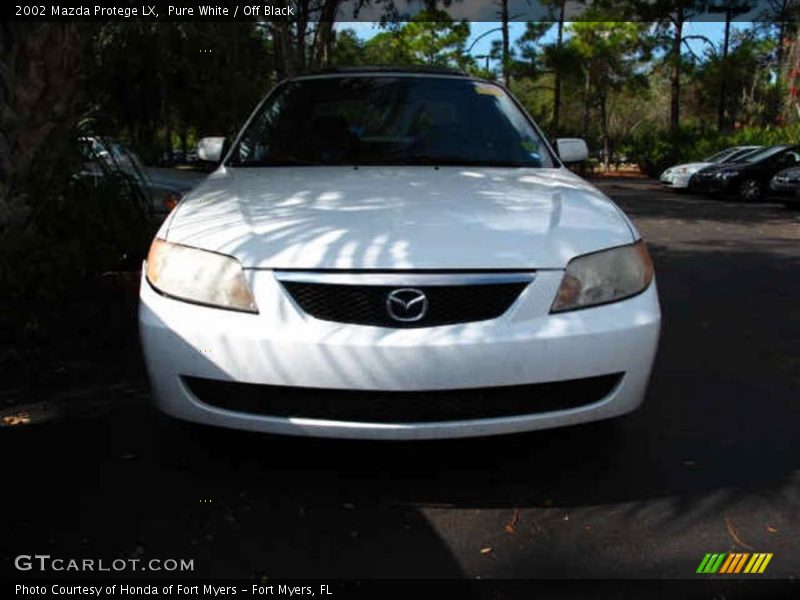 Pure White / Off Black 2002 Mazda Protege LX