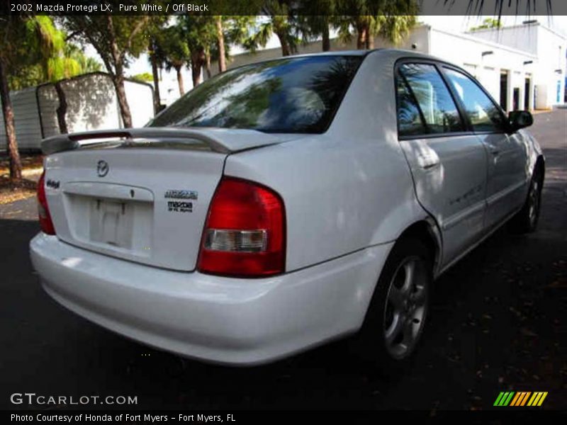 Pure White / Off Black 2002 Mazda Protege LX
