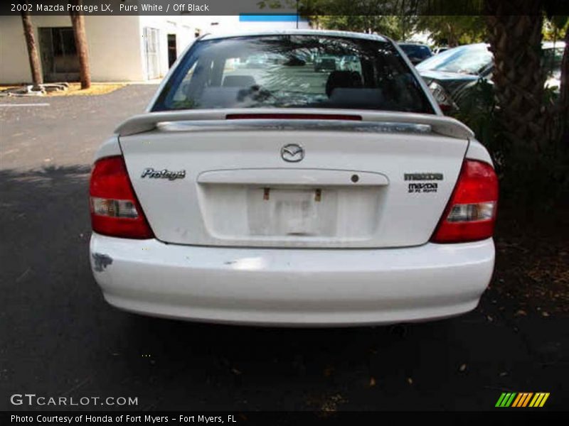 Pure White / Off Black 2002 Mazda Protege LX