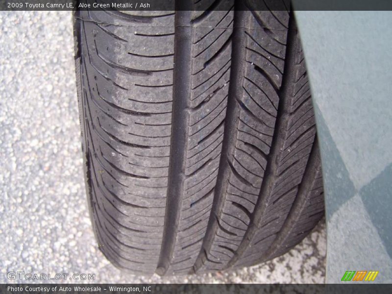 Aloe Green Metallic / Ash 2009 Toyota Camry LE