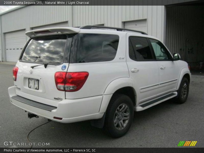 Natural White / Light Charcoal 2006 Toyota Sequoia SR5