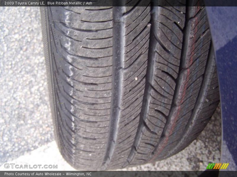 Blue Ribbon Metallic / Ash 2009 Toyota Camry LE