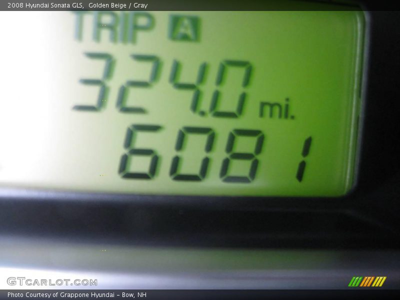 Golden Beige / Gray 2008 Hyundai Sonata GLS
