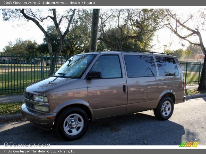 Light Autmnwood Metallic / Neutral 2003 Chevrolet Astro LS