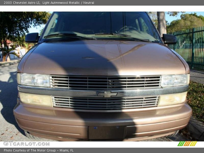 Light Autmnwood Metallic / Neutral 2003 Chevrolet Astro LS