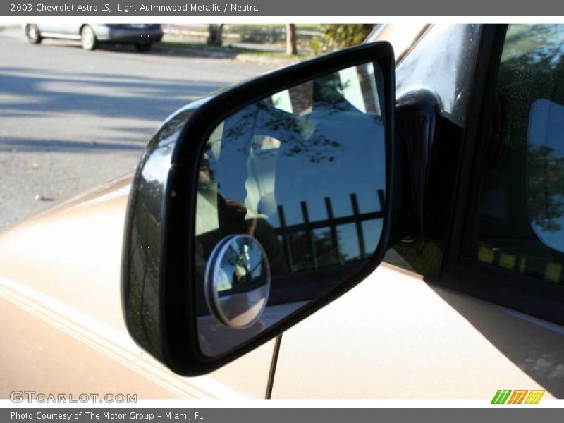Light Autmnwood Metallic / Neutral 2003 Chevrolet Astro LS