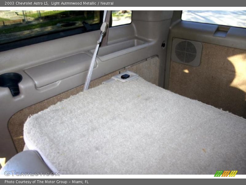 Light Autmnwood Metallic / Neutral 2003 Chevrolet Astro LS