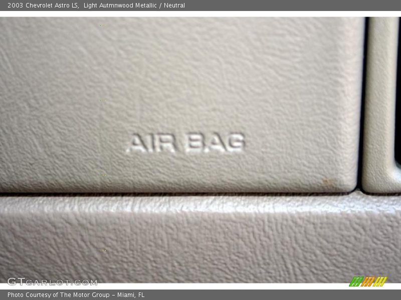 Light Autmnwood Metallic / Neutral 2003 Chevrolet Astro LS