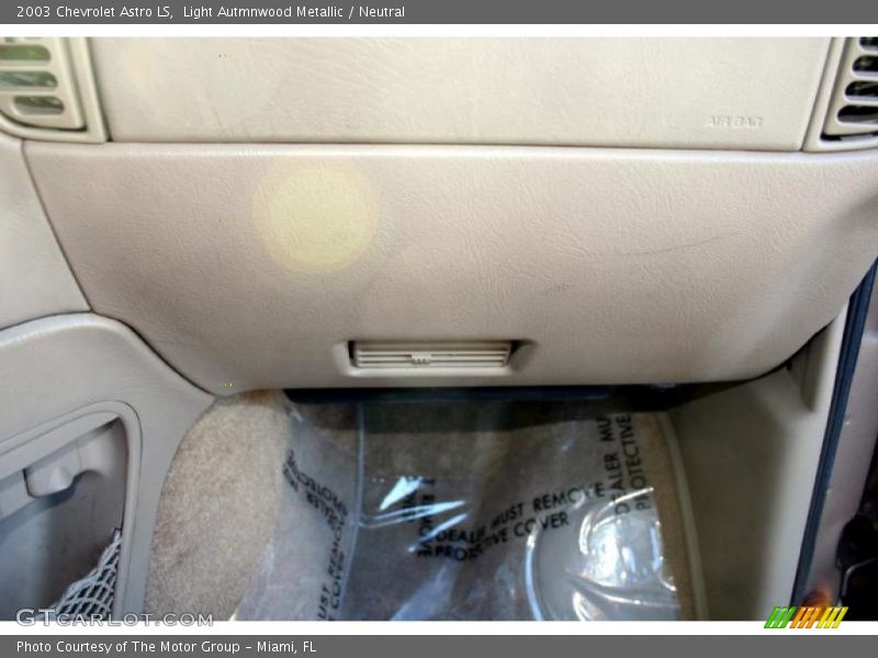 Light Autmnwood Metallic / Neutral 2003 Chevrolet Astro LS