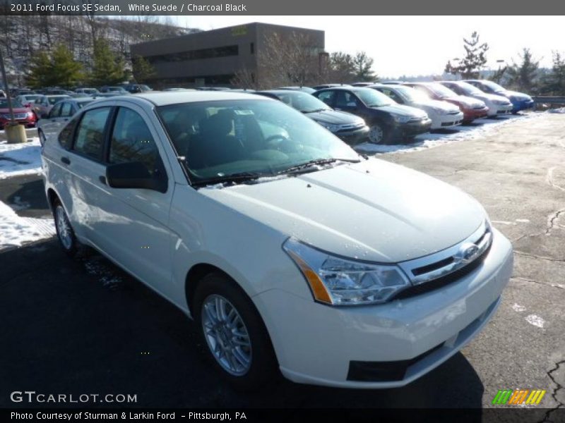 White Suede / Charcoal Black 2011 Ford Focus SE Sedan