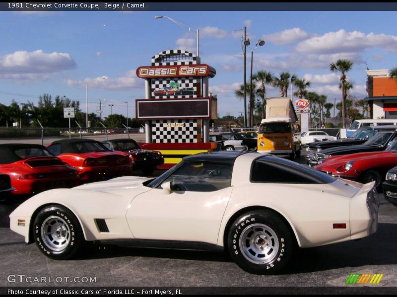 Beige / Camel 1981 Chevrolet Corvette Coupe