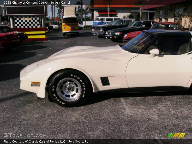 Beige / Camel 1981 Chevrolet Corvette Coupe