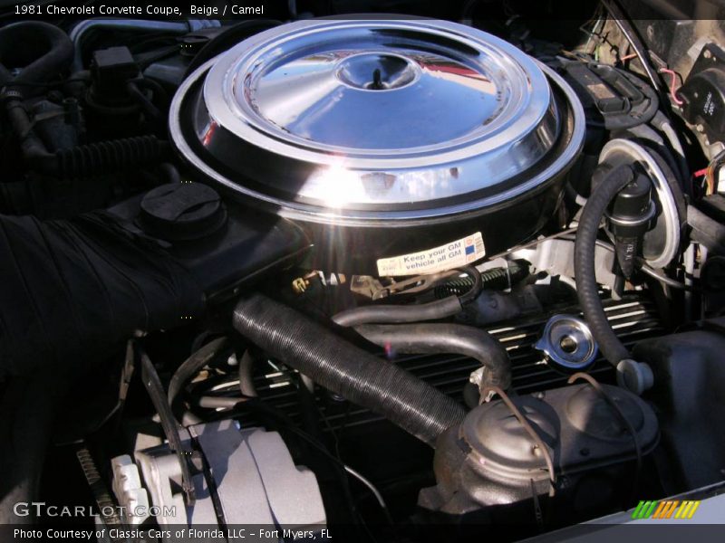 Beige / Camel 1981 Chevrolet Corvette Coupe