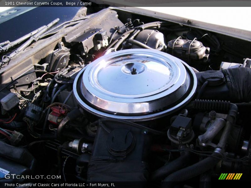 Beige / Camel 1981 Chevrolet Corvette Coupe