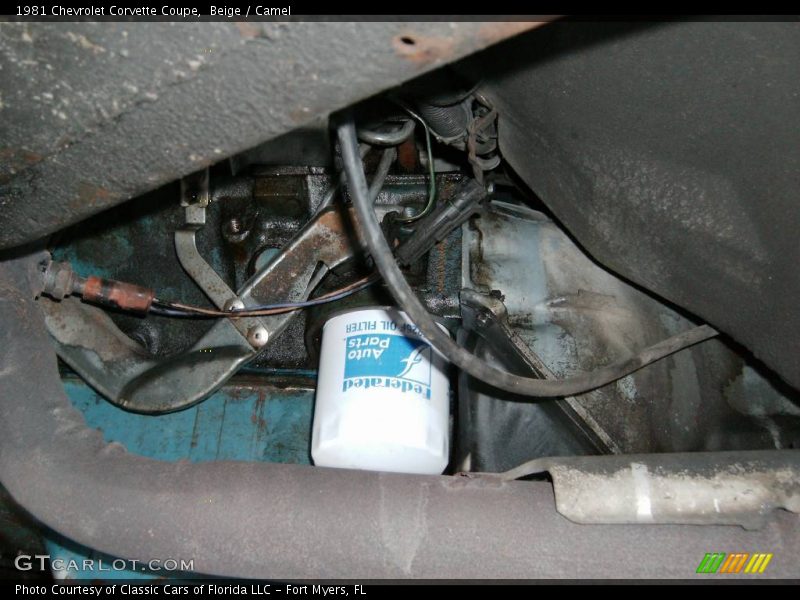 Beige / Camel 1981 Chevrolet Corvette Coupe