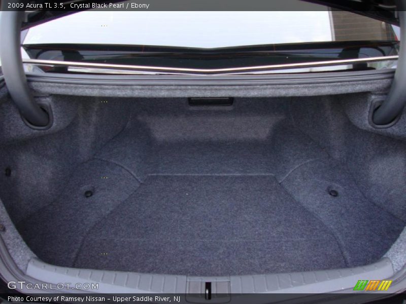 Crystal Black Pearl / Ebony 2009 Acura TL 3.5