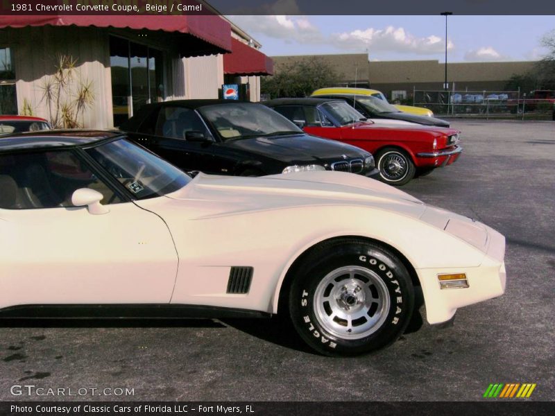 Beige / Camel 1981 Chevrolet Corvette Coupe