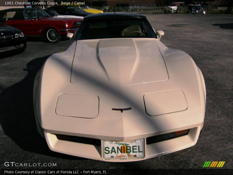 Beige / Camel 1981 Chevrolet Corvette Coupe