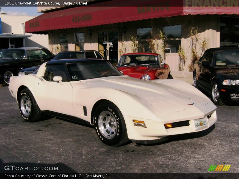 Beige / Camel 1981 Chevrolet Corvette Coupe
