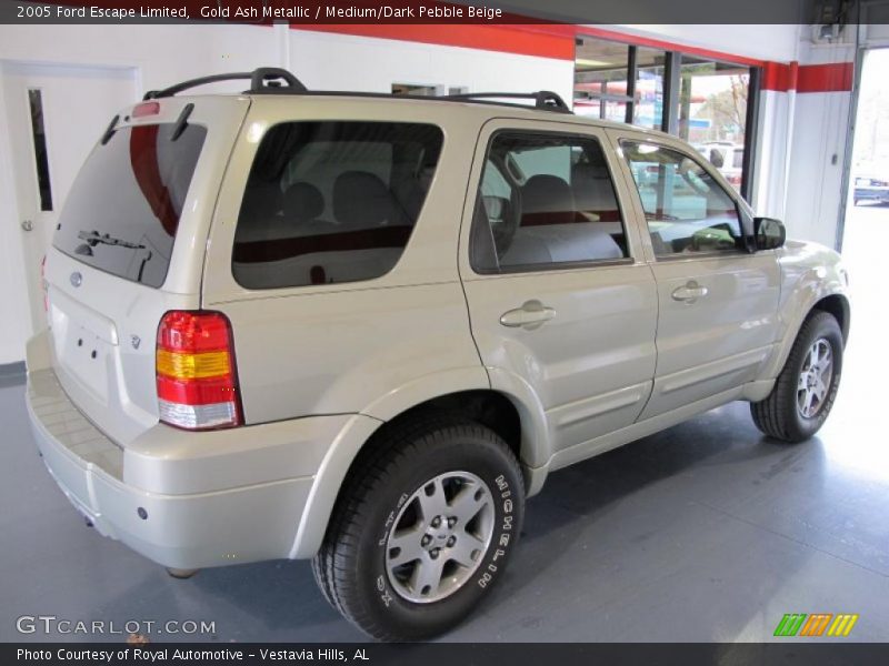 Gold Ash Metallic / Medium/Dark Pebble Beige 2005 Ford Escape Limited