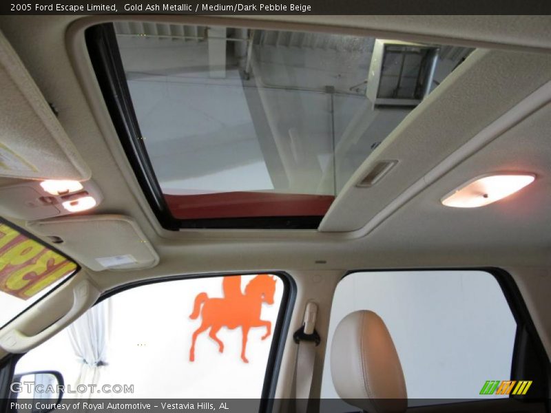 Gold Ash Metallic / Medium/Dark Pebble Beige 2005 Ford Escape Limited