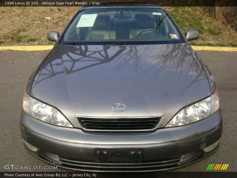 Antique Sage Pearl Metallic / Gray 1998 Lexus ES 300