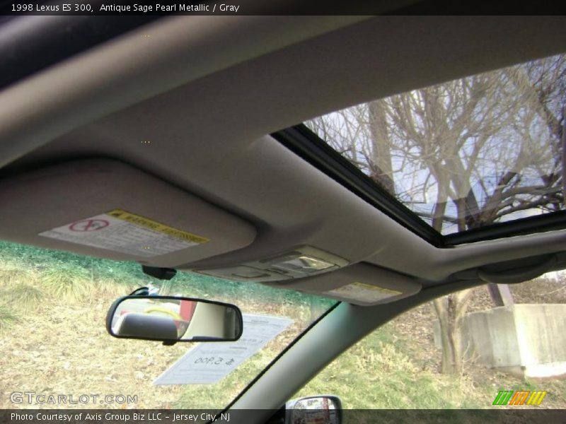 Antique Sage Pearl Metallic / Gray 1998 Lexus ES 300