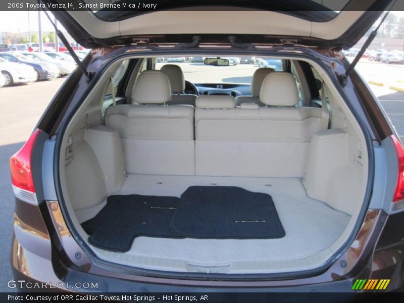Sunset Bronze Mica / Ivory 2009 Toyota Venza I4
