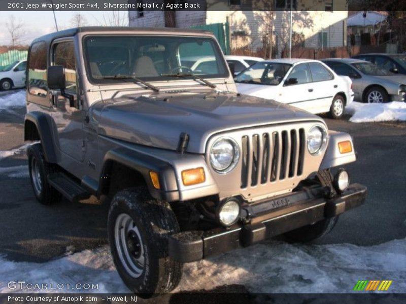 Silverstone Metallic / Agate Black 2001 Jeep Wrangler Sport 4x4