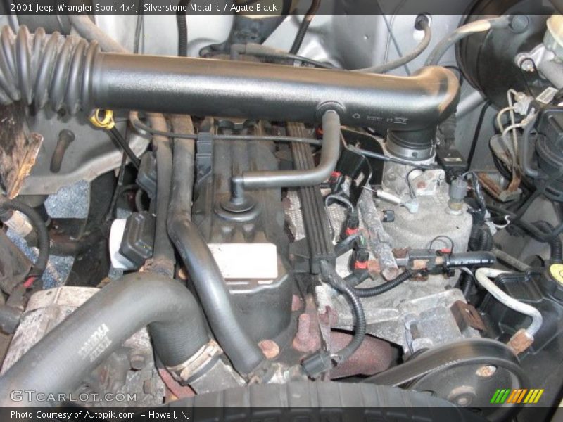 Silverstone Metallic / Agate Black 2001 Jeep Wrangler Sport 4x4