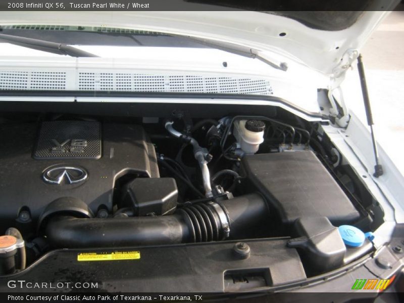 Tuscan Pearl White / Wheat 2008 Infiniti QX 56