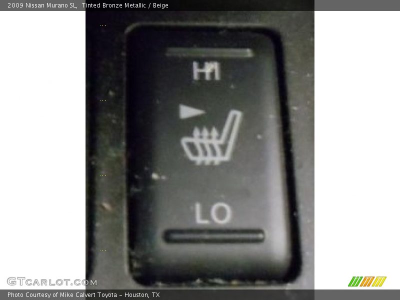 Tinted Bronze Metallic / Beige 2009 Nissan Murano SL
