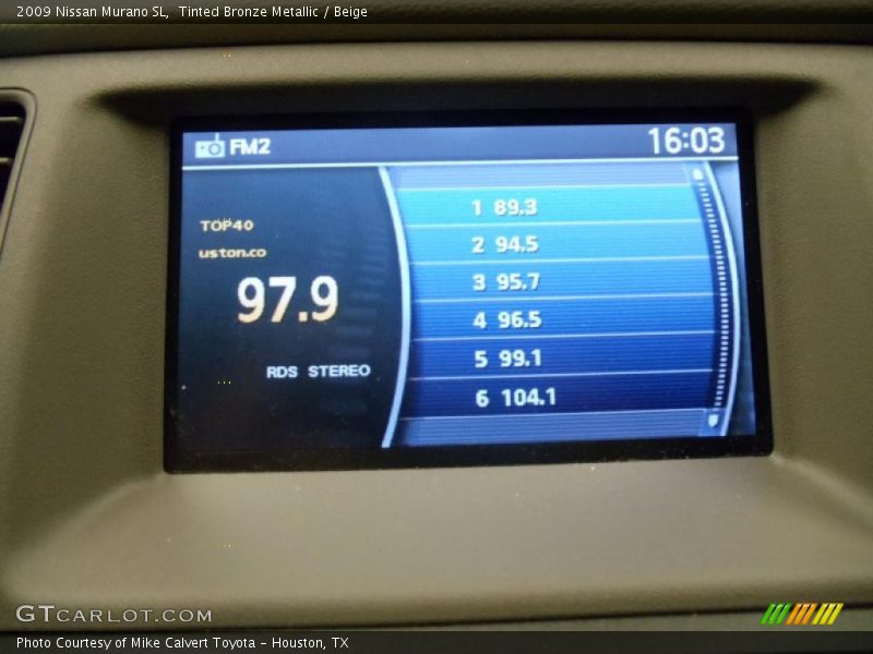 Tinted Bronze Metallic / Beige 2009 Nissan Murano SL