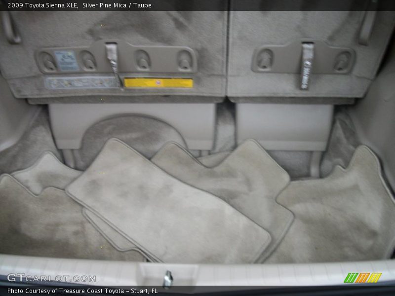 Silver Pine Mica / Taupe 2009 Toyota Sienna XLE