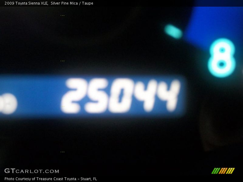 Silver Pine Mica / Taupe 2009 Toyota Sienna XLE