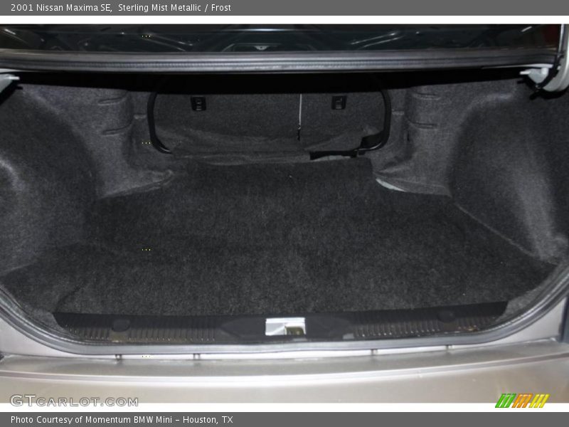 Sterling Mist Metallic / Frost 2001 Nissan Maxima SE