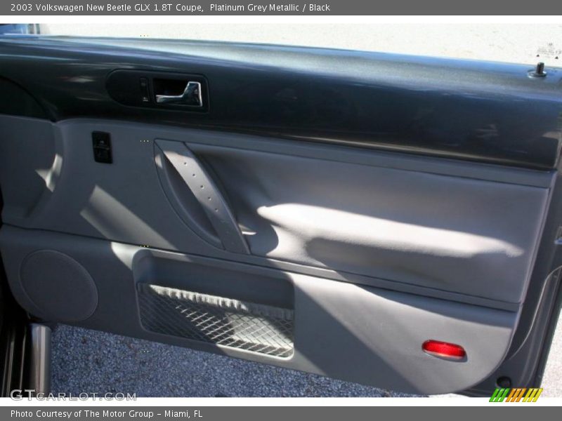 Door Panel of 2003 New Beetle GLX 1.8T Coupe