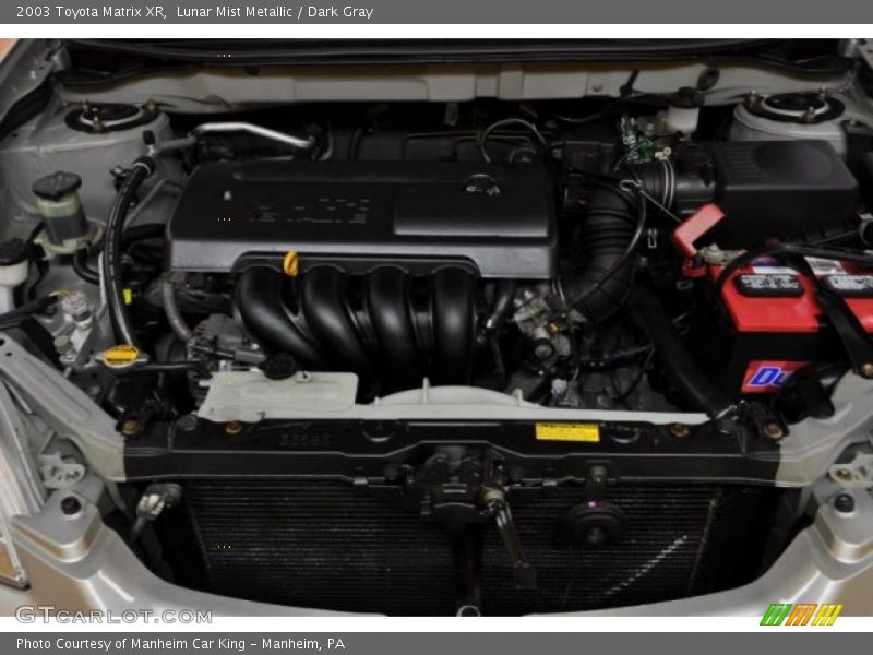 Lunar Mist Metallic / Dark Gray 2003 Toyota Matrix XR