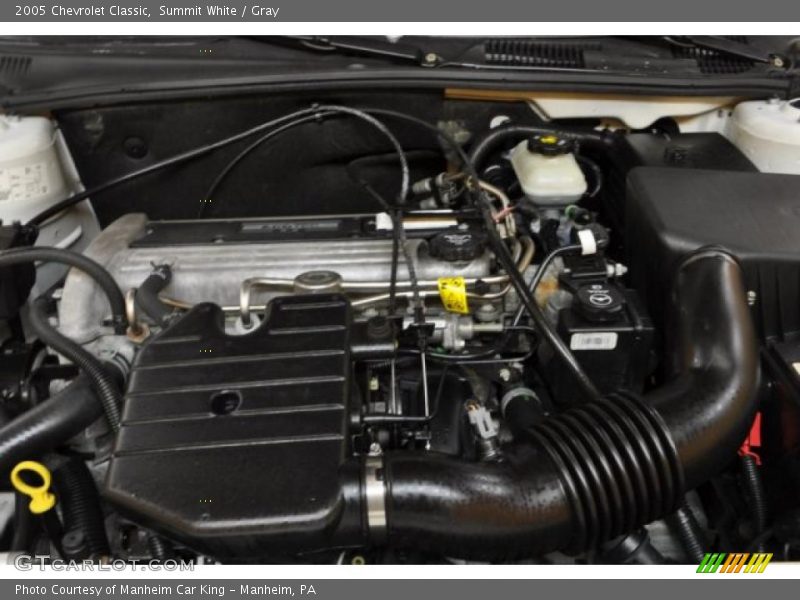 Summit White / Gray 2005 Chevrolet Classic