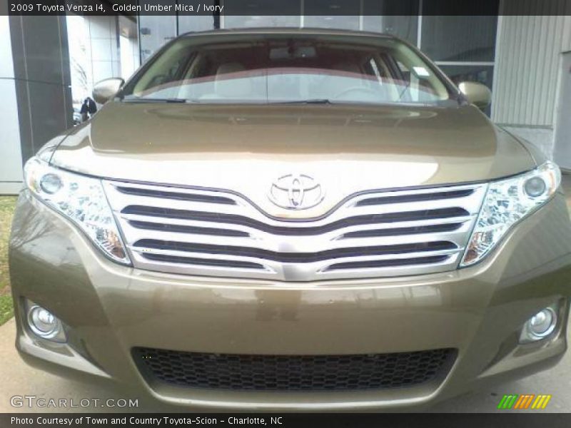Golden Umber Mica / Ivory 2009 Toyota Venza I4