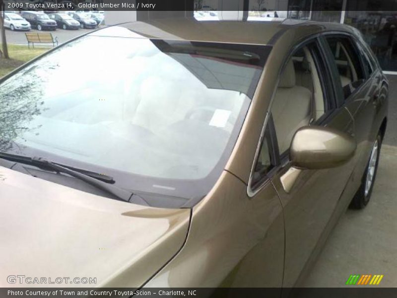 Golden Umber Mica / Ivory 2009 Toyota Venza I4