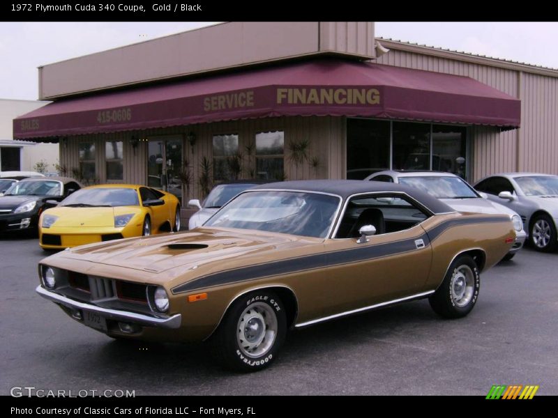 Gold / Black 1972 Plymouth Cuda 340 Coupe