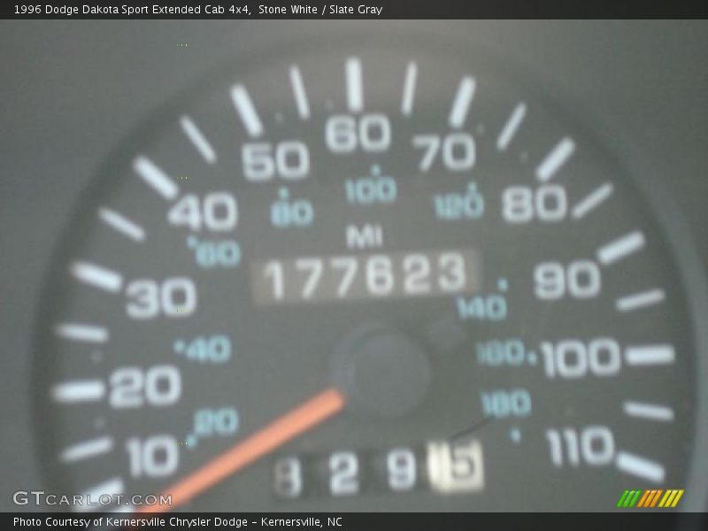 Stone White / Slate Gray 1996 Dodge Dakota Sport Extended Cab 4x4